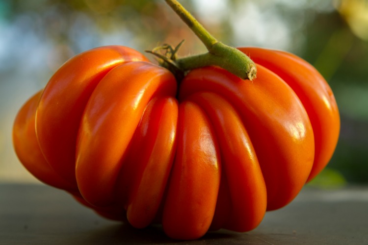 5 Reasons Why Heirloom Seeds are the Best for Gardening