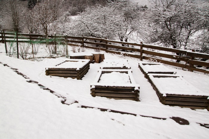 4 Big Ways Snow Can Benefit the Garden