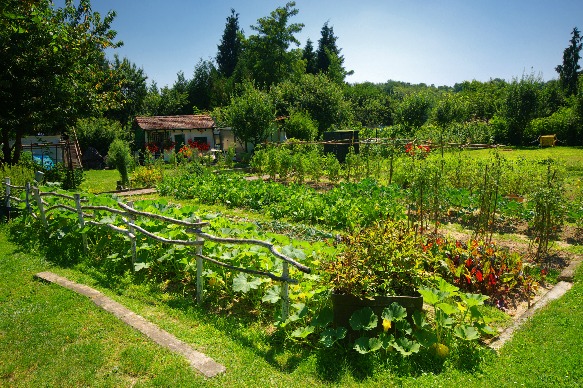 3 Reasons Why Gardening Is Good For Your Mental & Physical Well Being