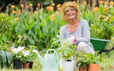 5 Must-Have Garden Tools For the Lazy Gardener