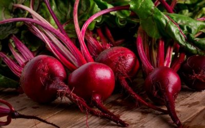 A Guide To Growing A Healthy Crop Of Beets In Your Garden