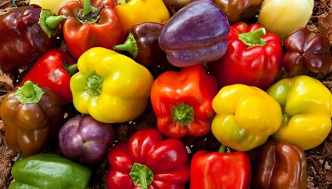 Tips For Growing The Best Bell Peppers In Your Garden