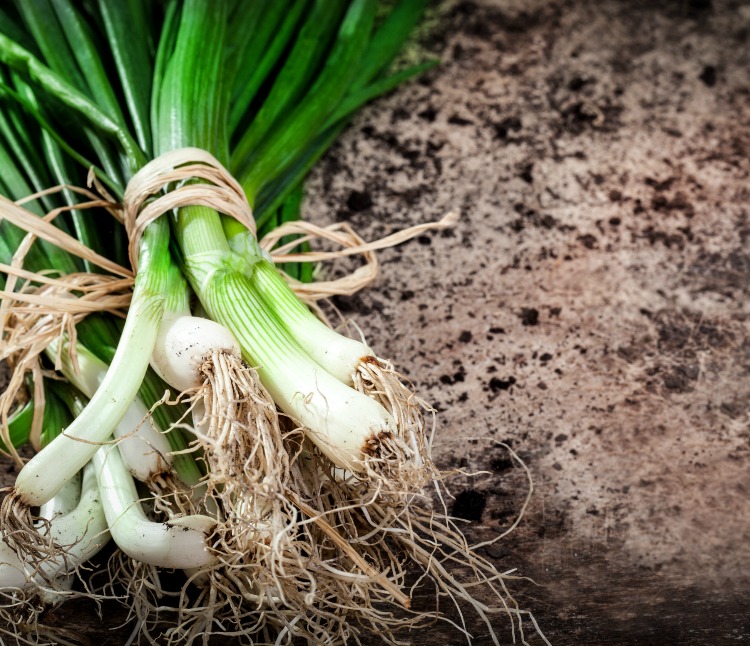 A Guide To Growing Your Best, Most Nutritious, And Flavorful Bunching Onions