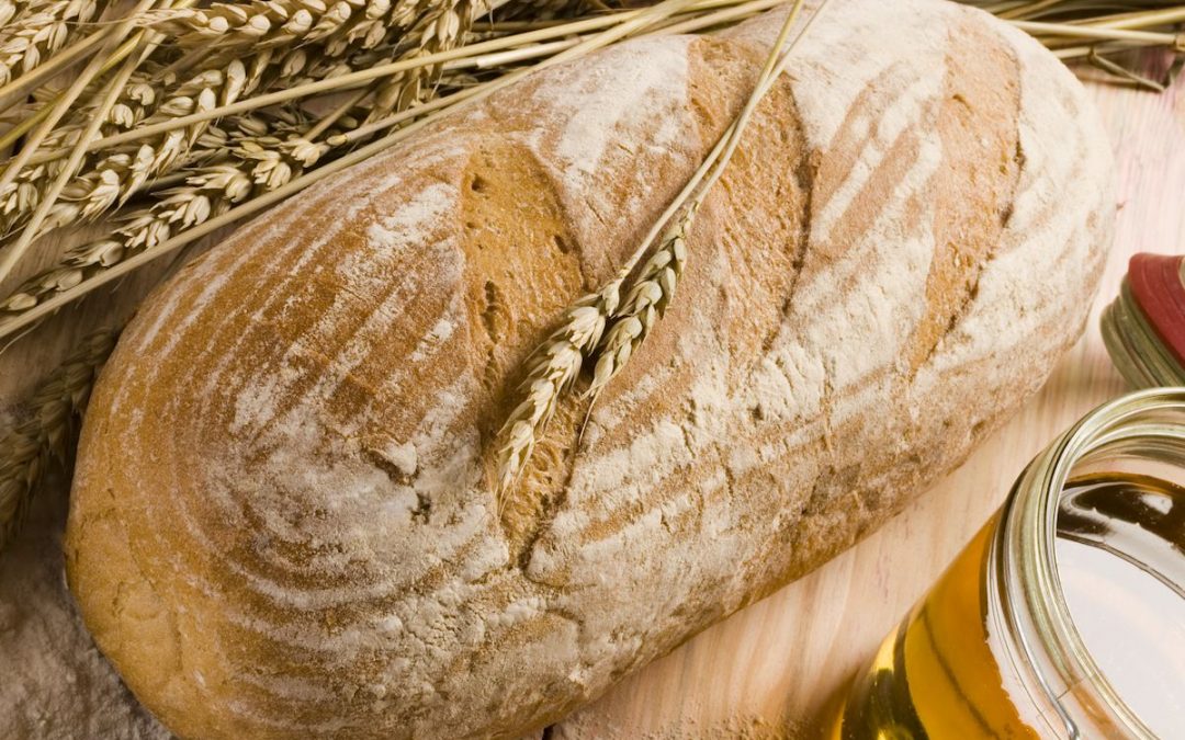 Seed to Plate: How To Grow Bread-Worthy Spring Wheat From Seed