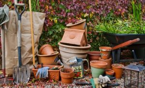Now is the time to get your Fall garden chores accomplished so that in the Spring your garden is ready to go!