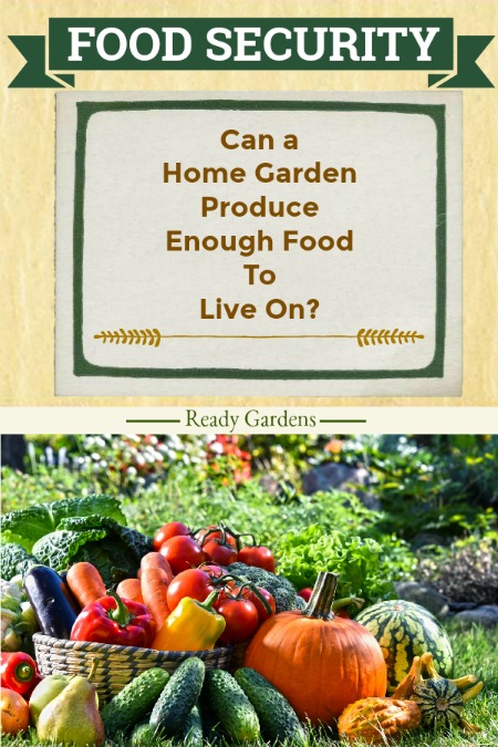 Growing your own produce is a frugal and more natural way to cut back on the grocery budget. But how much food can a home garden produce?
