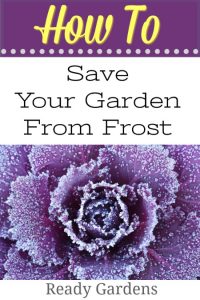 It's important to take preventative measures in the garden before the next frost. Here are some tips to saving your garden.
