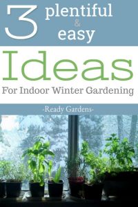 Even though it's not officially gardening season, you can still grow a winter garden indoors. Here are 3 easy ideas!