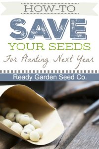 One of the most important questions many have while on a path to a more self-sufficient life is how to save their seeds year to year.  Once you've become a pro, you'll be spending much less time shopping and more time enjoying the simple life.