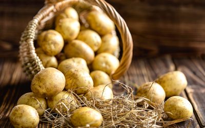 How To Store Potatoes Over Winter