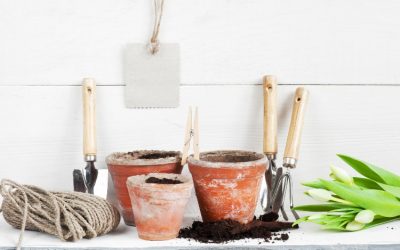 A Holiday Gift Guide For That Special Gardener