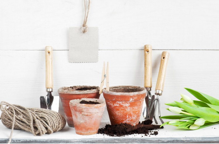 A Holiday Gift Guide For That Special Gardener