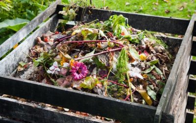 Turn Trash Into Treasure: The Easy Way To Make A Compost Pile Or Bin