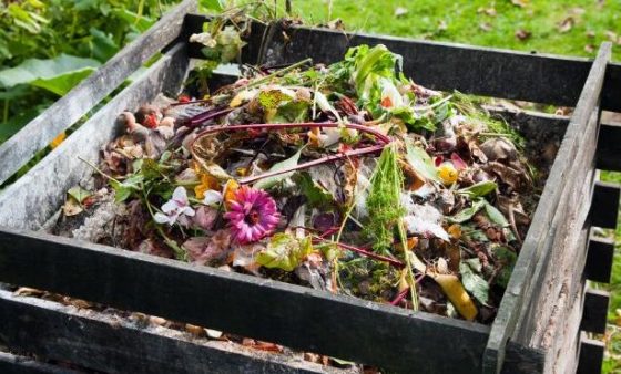 The Easiest Way to Compost