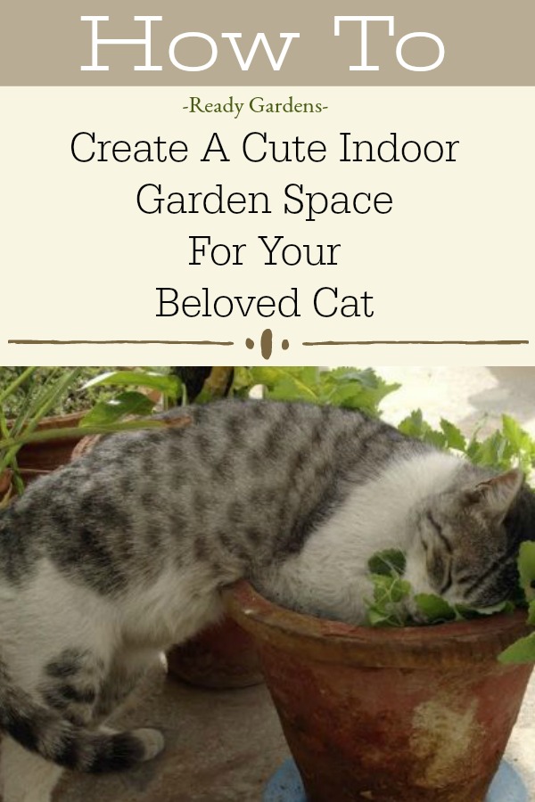 Anyone who has a furry friend they love understands how much companionship a cat can provide.  So why not consider making an indoor garden for your friend to enjoy while boosting your gardening skills at the same time?  #ReadyGardens