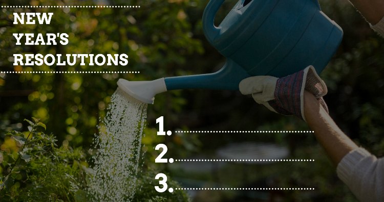 5 New Year’s Resolutions To Get a Jump-Start on the Garden