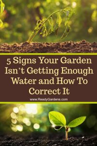 If the plants in your garden are not getting enough water, then they are also not getting enough nutrients to grow. Underwatering your plant is one of the worst things that can happen to your garden, but there are a few simple ways to tell if this is the case and we've got a few suggestions to make sure it never happens again!