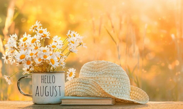 10 Things To Do In Your Garden in August